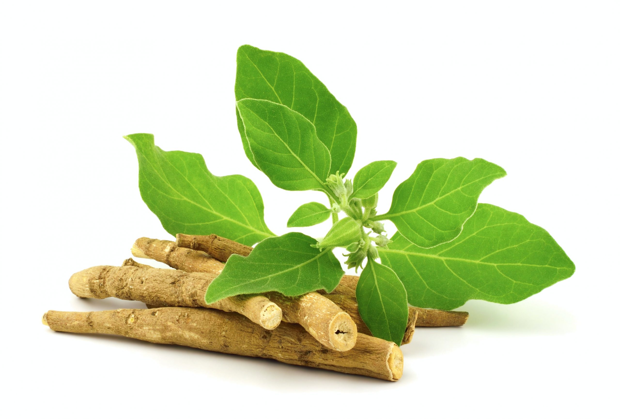 What is Ashwagandha and How is it Used...